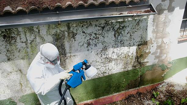 Top rated local Attic Mold Removal specialists in Elizabethville, PA